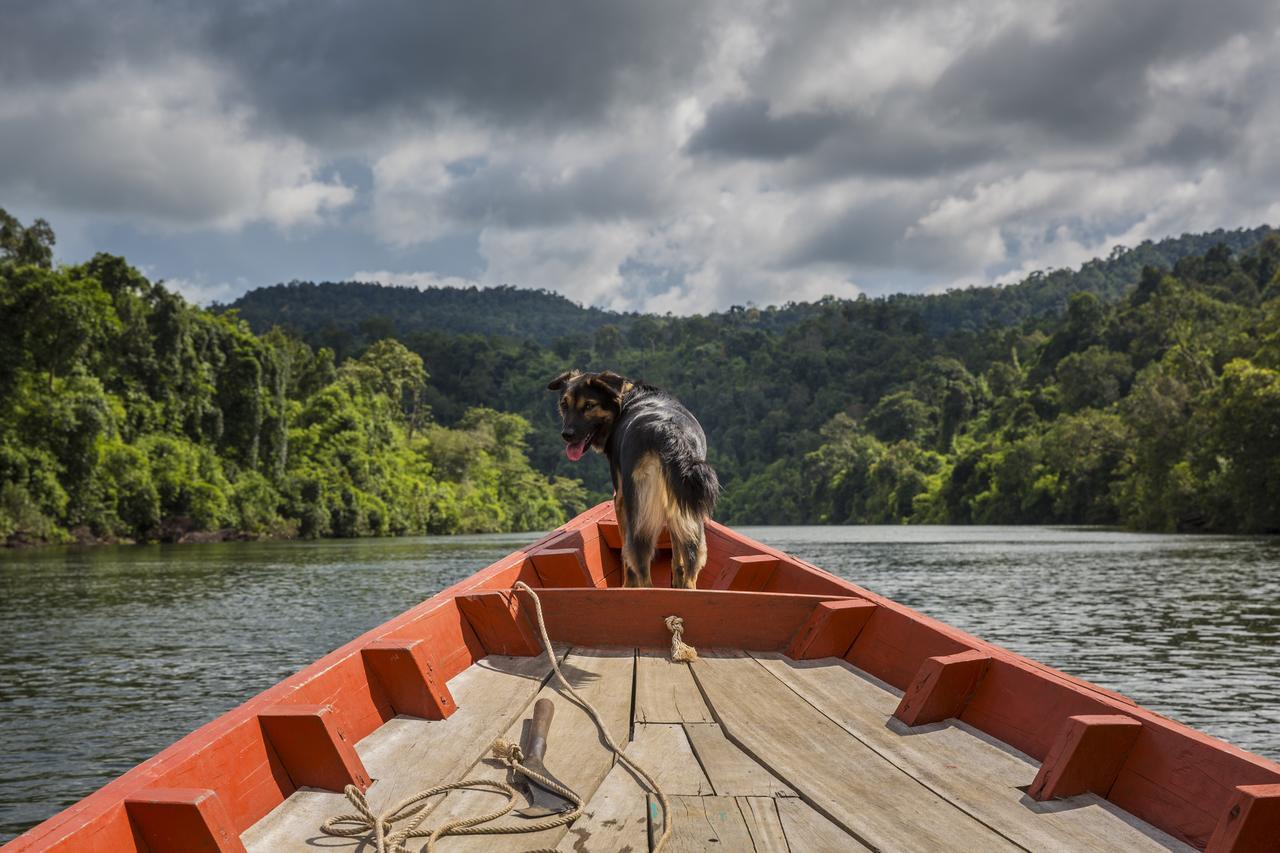 Rainbow Lodge Tatai Bagian luar foto